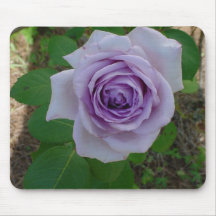 Placa do mouse Rosa roxo do solteiro