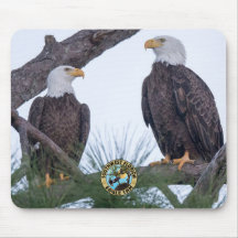 Placa do mouse SWFL Eagle Cam