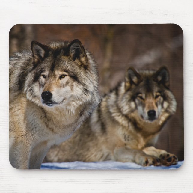 Mousepad Placa do mouse Timer Wolf (Frente)
