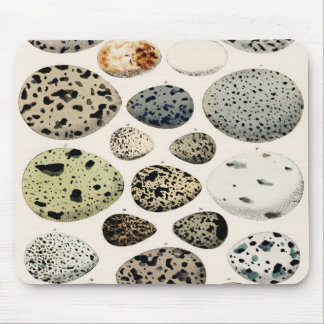 Mousepad Placa do rato de Ilustração de Ovos de Aves Vintag