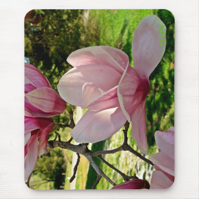 Mousepad Placa do rato de Monograma Floral de Magnolia Rosa (Frente)