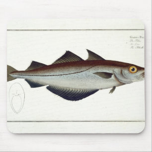 Mousepad Placa LXVIII das pescadas polacas (pollachius do