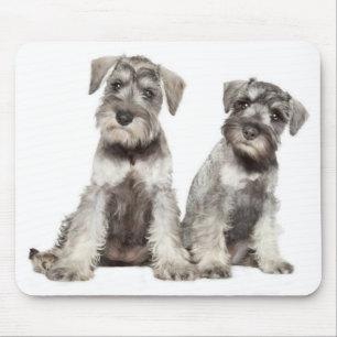 Mousepad Placa Minúscula De Rato De Cachorro Schnauzer De