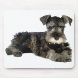 Mousepad Placa Minúscula De Rato De Cachorro Schnauzer De C