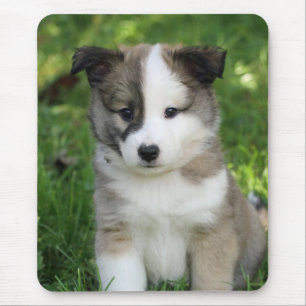 Mousepad Placa plitface de Islandhunwelpe