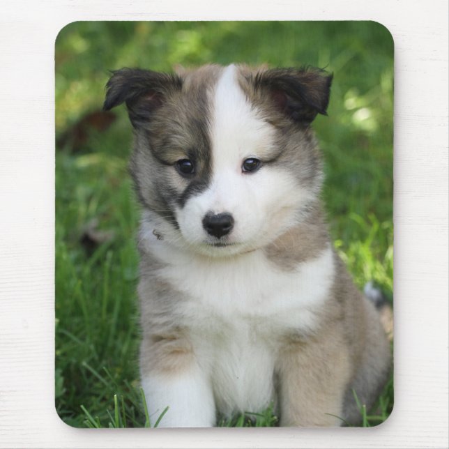 Mousepad Placa plitface de Islandhunwelpe (Frente)