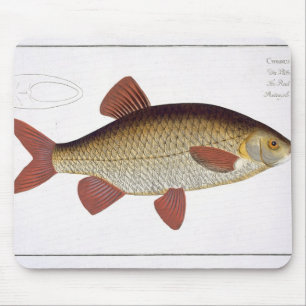 Mousepad Placa vermelha da carpa (Cyprinus