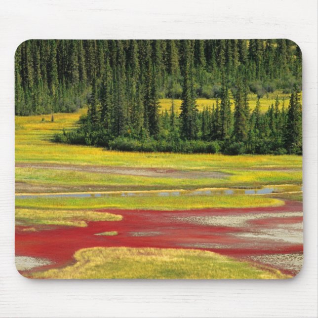 Mousepad Planície de Sal e Floresta | Parque Nacional Wood  (Frente)