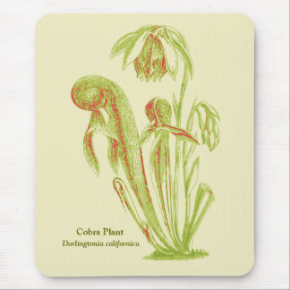 Mousepad Plano da cobra, planta carnívora