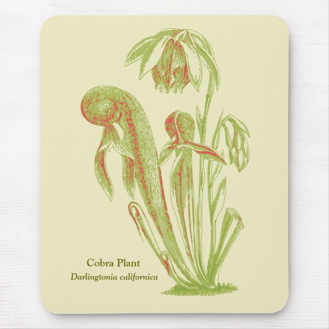 Mousepad Plano da cobra, planta carnívora (Frente)
