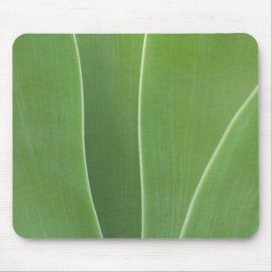 Mousepad Planta Agave Close Up