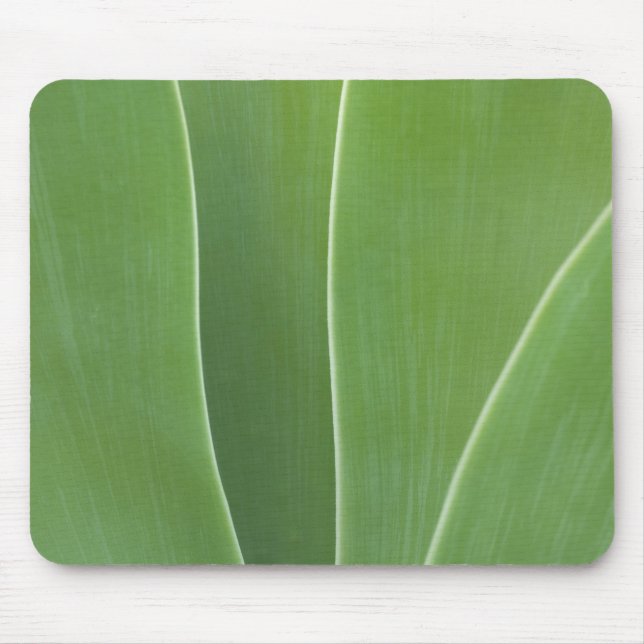 Mousepad Planta Agave Close Up (Frente)