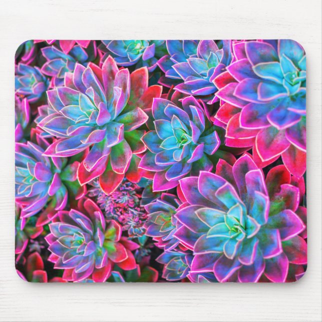 Mousepad Planta de suculência de Neon rosa (Frente)