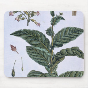 Mousepad Planta de tabaco, placa 7, 'da coleção Precieuse