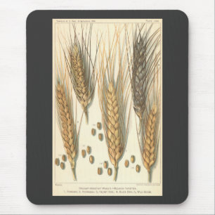 Mousepad Planta de Trigo Resistente à Seca, Agricultura Vin