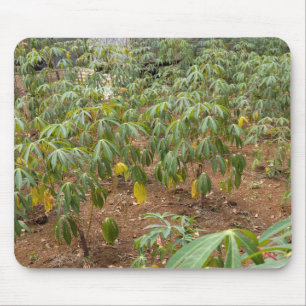 Mousepad Plantação de mandioca