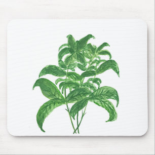 Mousepad Plantas botânicas de cozinha verde Plantas aromáti