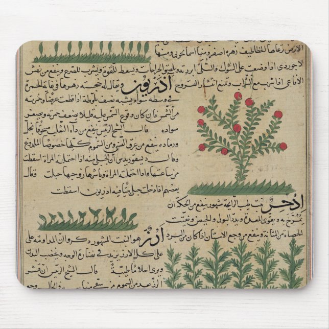Mousepad Plantas botânicas, ilustração 'do (Frente)