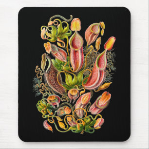 Mousepad Plantas de jarro