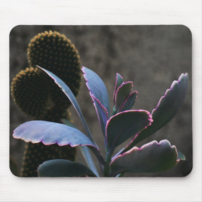 Mousepad Plantas do deserto (Frente)