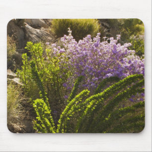 Mousepad plantas do deserto de Chihuahuan em flor