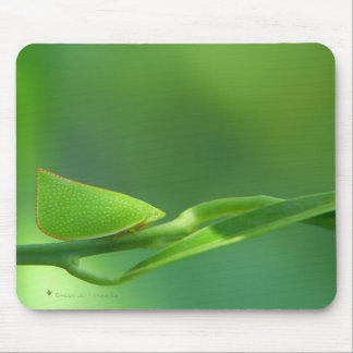 Mousepad PlantWalker