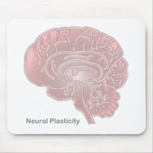 Mousepad Plasticidade Neural