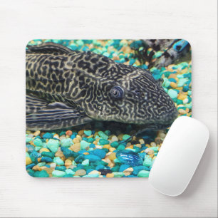 Mousepad Plecostomus On Gravel