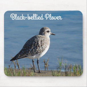 Mousepad Plover Bellying Negro