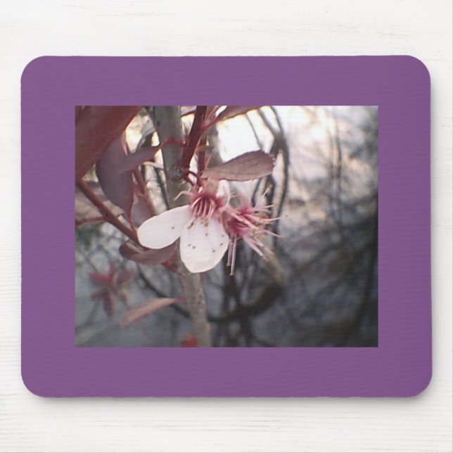 Mousepad Plum Bloom (Frente)