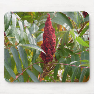 Mousepad Pluma de Flores