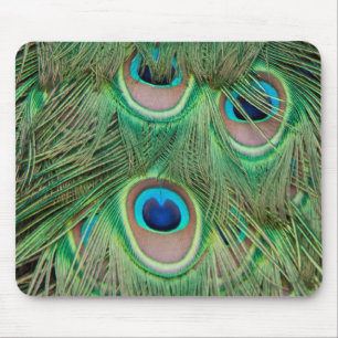 Mousepad Plumagem de peacock