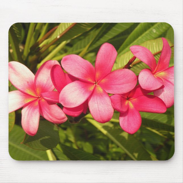 Mousepad plumeria (Frente)