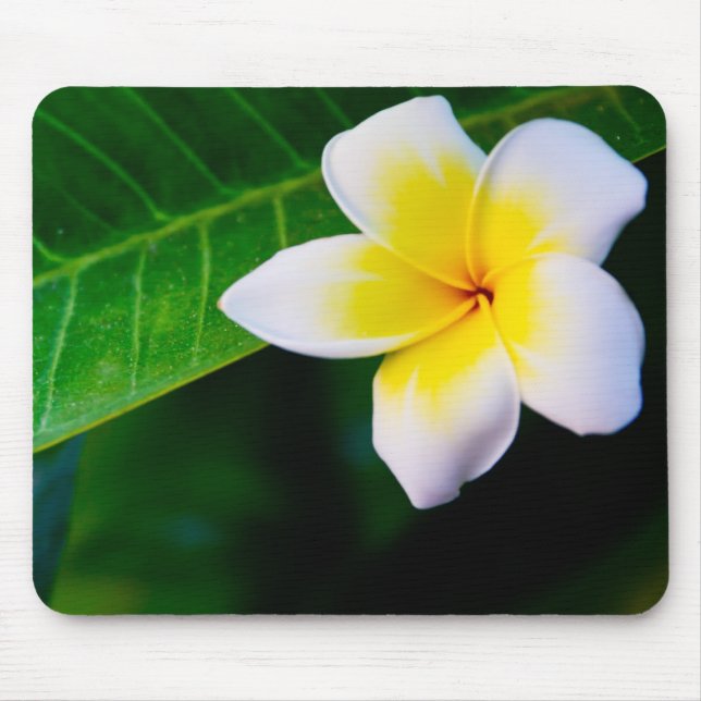 Mousepad plumeria (Frente)