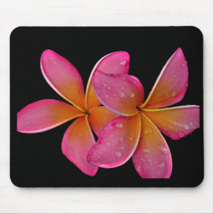 Mousepad Plumeria do Sunburst de Kaneohe