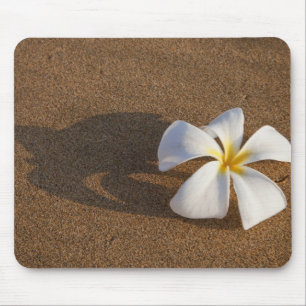 Mousepad Plumeria na praia arenosa, Maui, Havaí, EUA