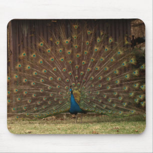Mousepad Poco