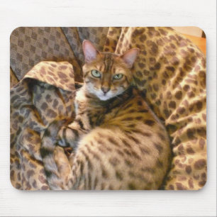 Mousepad Pode você ver-me?