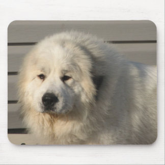 Mousepad Poder de Pyr