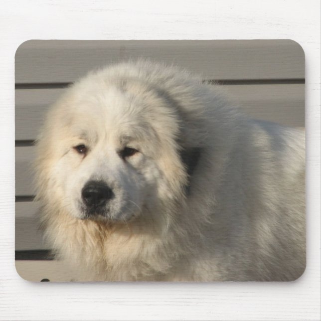 Mousepad Poder de Pyr (Frente)