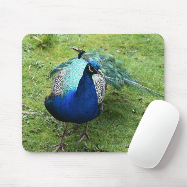 Mousepad Poder do Pavão Real (Com mouse)