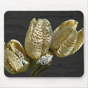 Mousepad Pods De Sementes De Lily Vazios Coordenando Itens