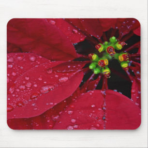 Mousepad Poinsettia
