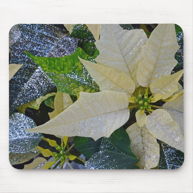 Mousepad Poinsettia de Natal (Frente)