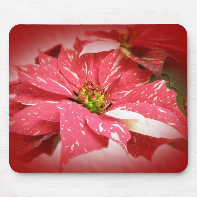 Mousepad Poinsettia em Vermelho e Branco (Frente)
