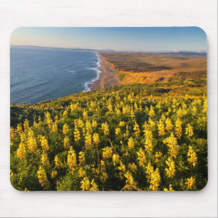 Mousepad Point Reyes National Seashore California