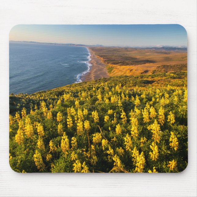 Mousepad Point Reyes National Seashore California (Frente)