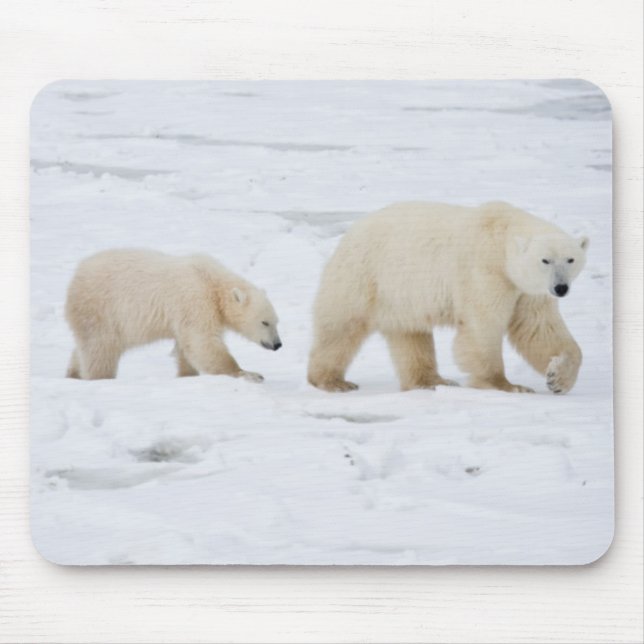 Mousepad Polar Bears fêmea e dois filhotes (Frente)