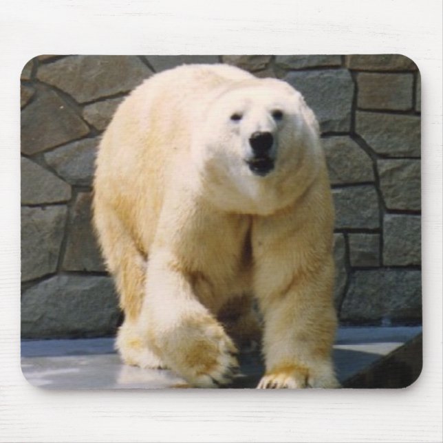 Mousepad Polarbear (Frente)