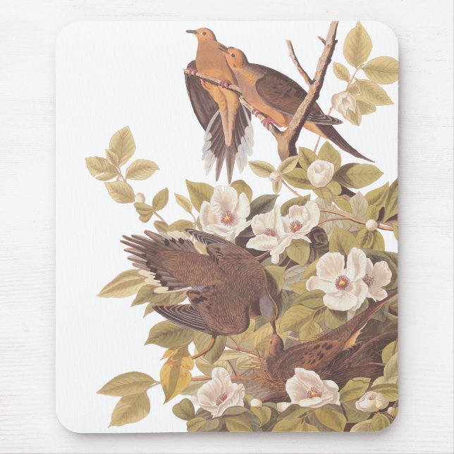 Mousepad Pomba de Tartaruga Carolina de Audubon (Frente)